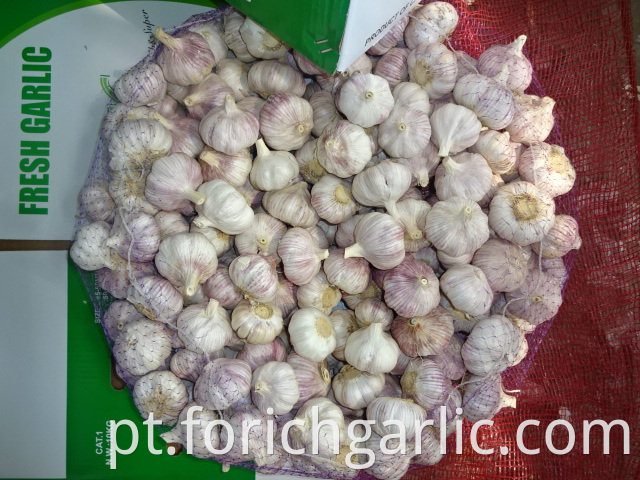 Fresh Garlic New Crop